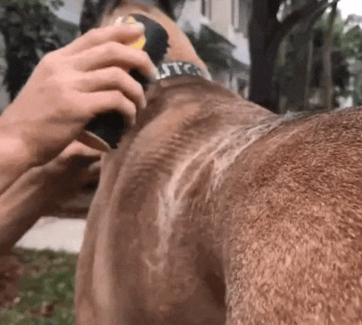 Coatbuddy - der Bestseller!